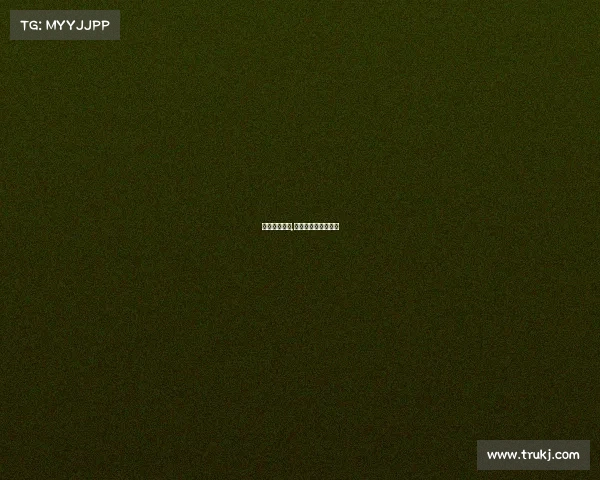 最新乓乓赛事,最新乒乓球比赛战况