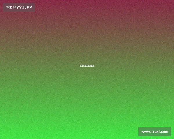 协会可以举办什么活动